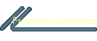 Fronteira cibernética